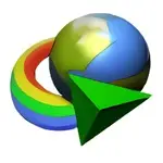 Internet Download Manager (IDM)